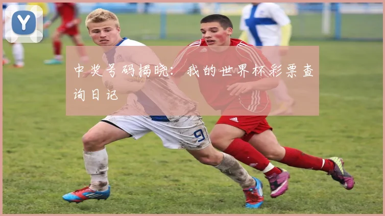 中奖号码揭晓：我的世界杯彩票查询日记