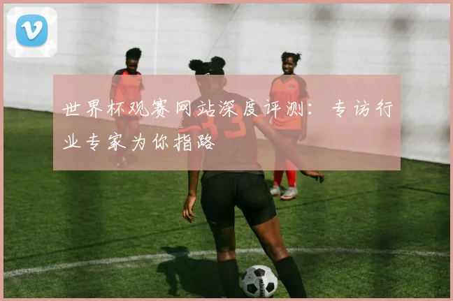 世界杯观赛网站深度评测：专访行业专家为你指路
