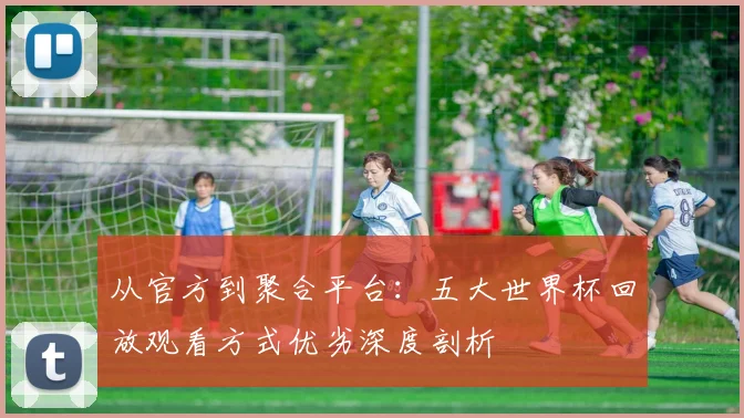 从官方到聚合平台：五大世界杯回放观看方式优劣深度剖析