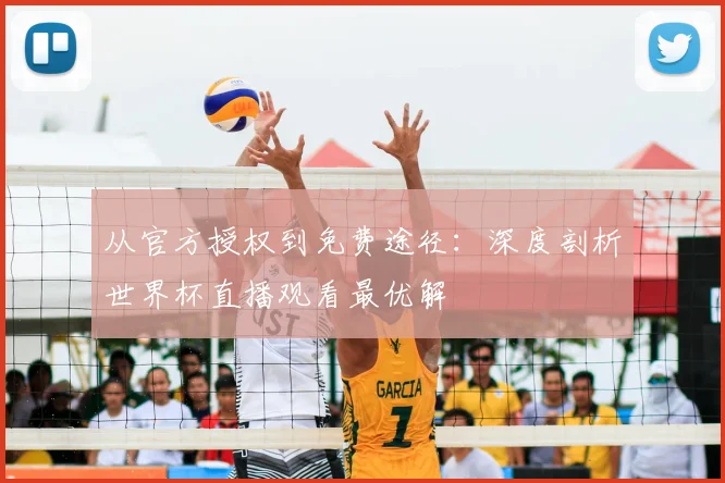 从官方授权到免费途径：深度剖析世界杯直播观看最优解