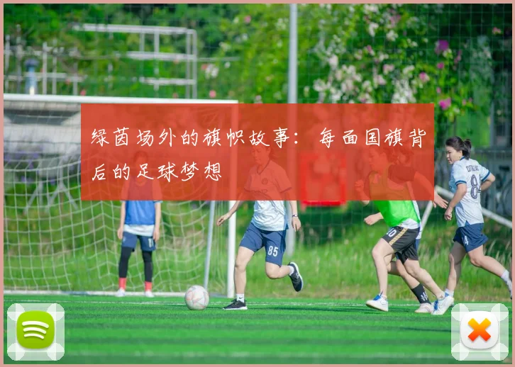 绿茵场外的旗帜故事：每面国旗背后的足球梦想