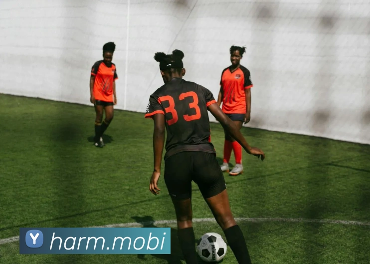 多媒体互动体验